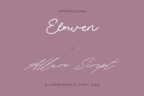 Elowen X Allure Script Duo Typeface